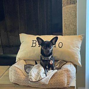 Meet your Posher, Hannah